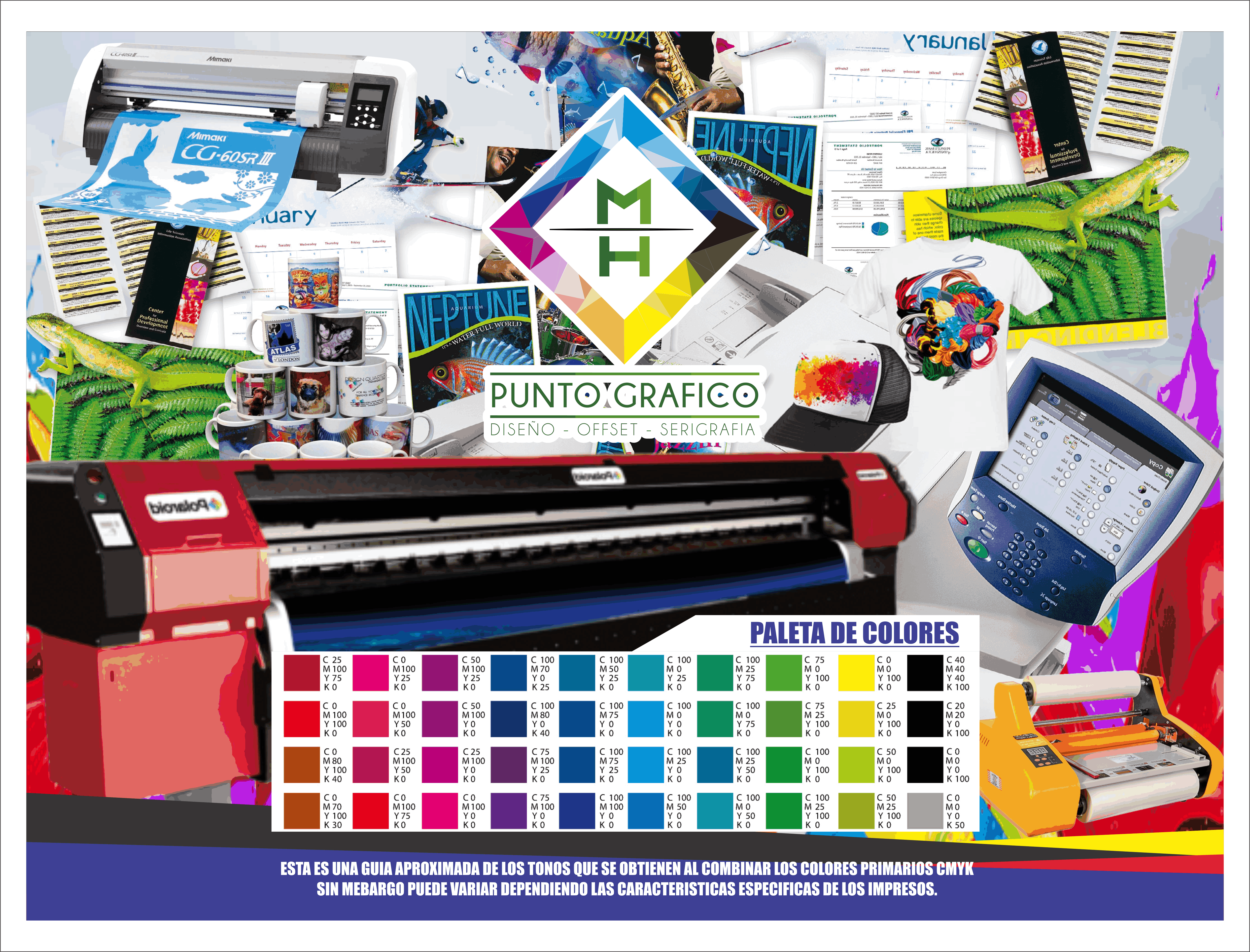 Guia De Colores